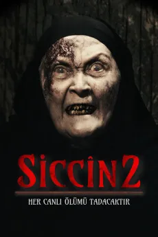 时光情书
